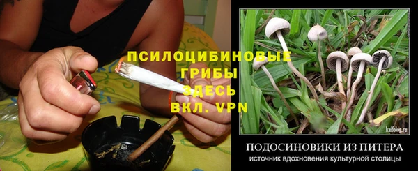 тгк Алексеевка
