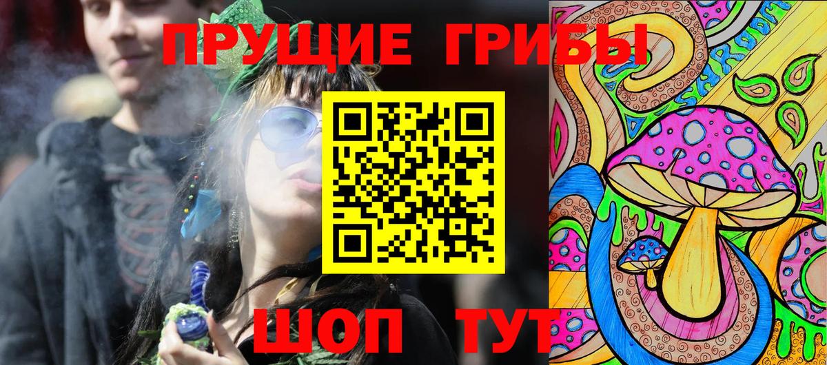 Галлюциногенные грибы Psilocybine cubensis Подольск
