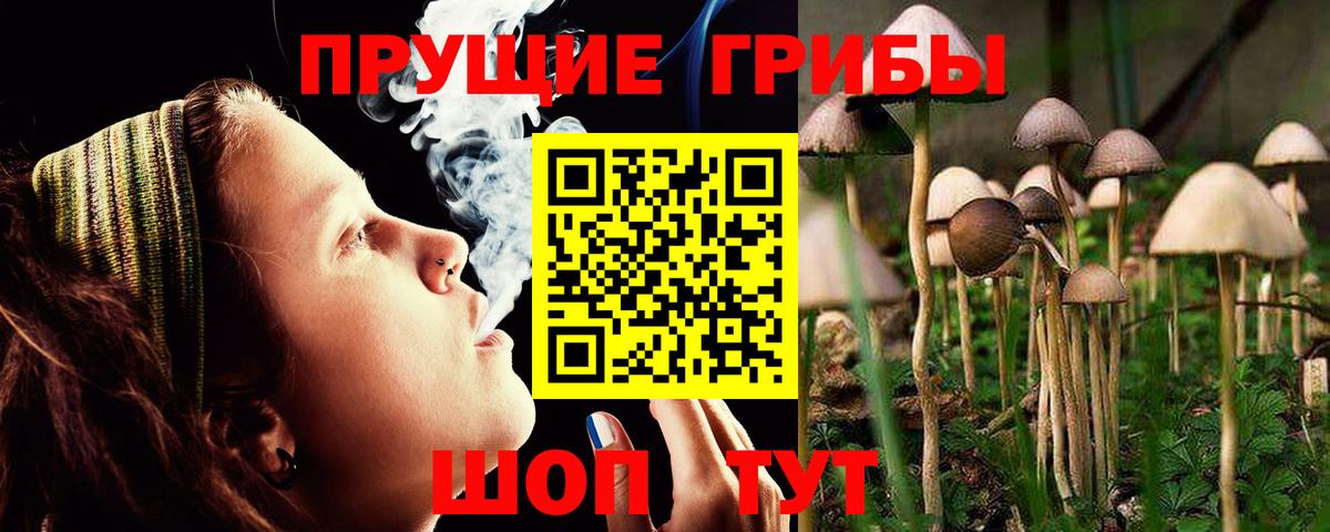 как найти закладки  Галлюциногенные грибы мухоморы  Псилоцибиновые грибы Cubensis  Вход с VPN  Подольск 